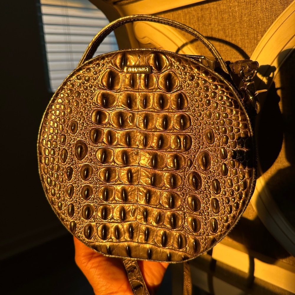 Green brownish Brahmin purse